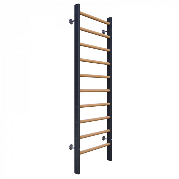 Стенка гимнастическая с металлическими боковинами 2400