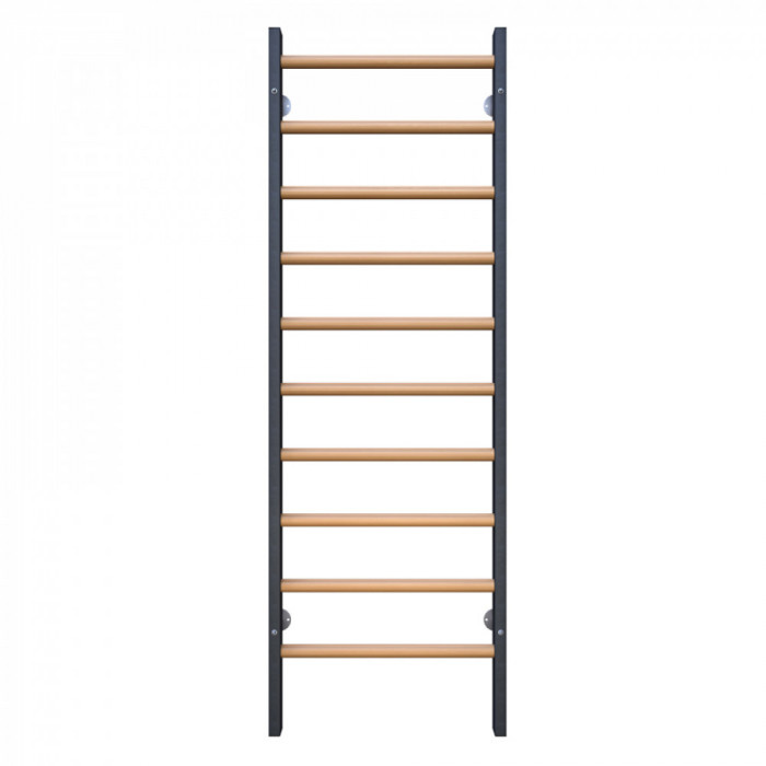 Стенка гимнастическая с металлическими боковинами 2400