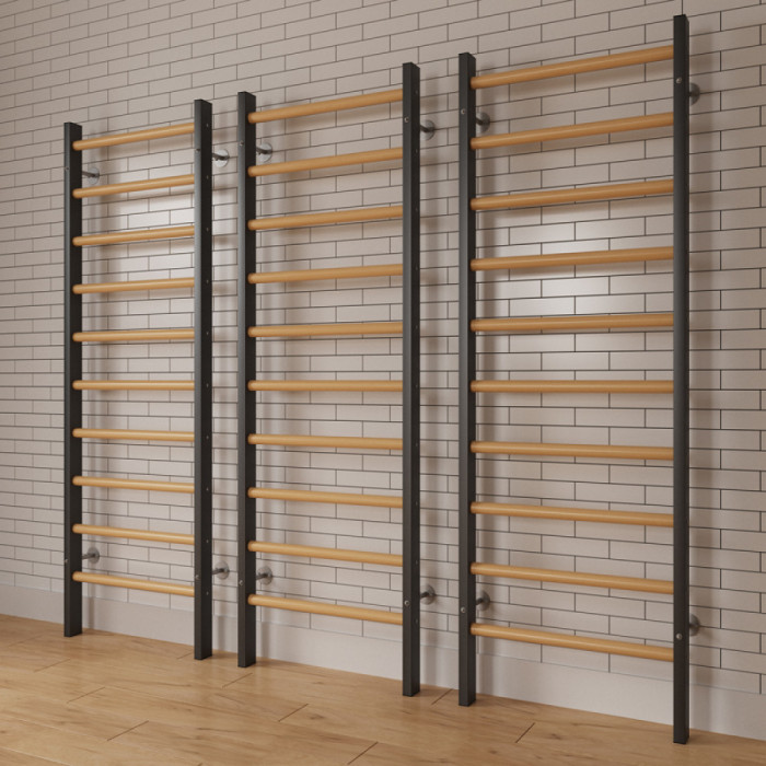 Стенка гимнастическая с металлическими боковинами 2400