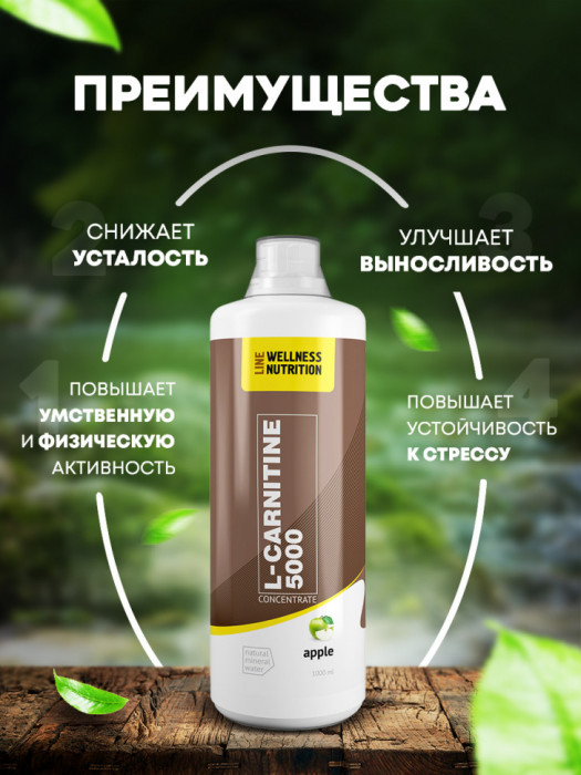 Wellness Line L-Carnitine 5000 (1000 мл)