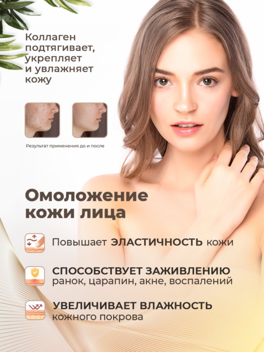 Wellness Line Collagen Support (1000 мл)