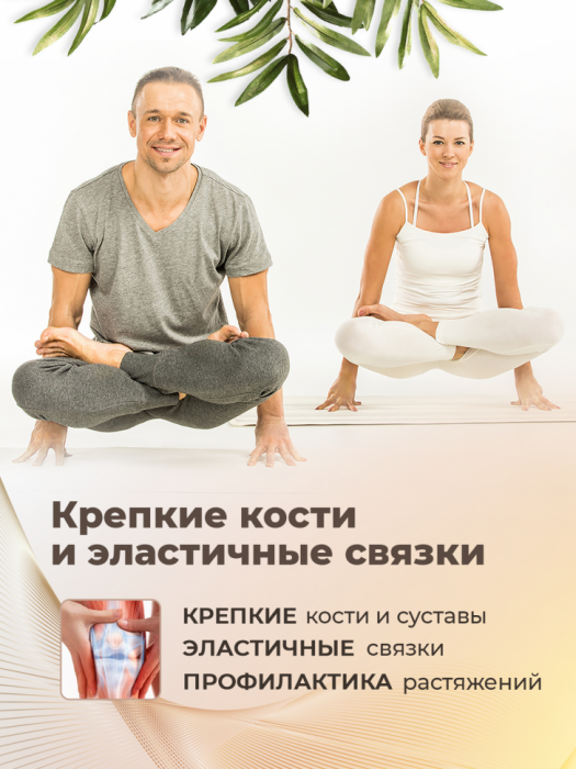 Wellness Line Collagen Support (1000 мл)
