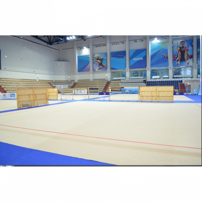 Соревновательный ковер для художественной гимнастики, размер 10х10м. толщина 10мм.
